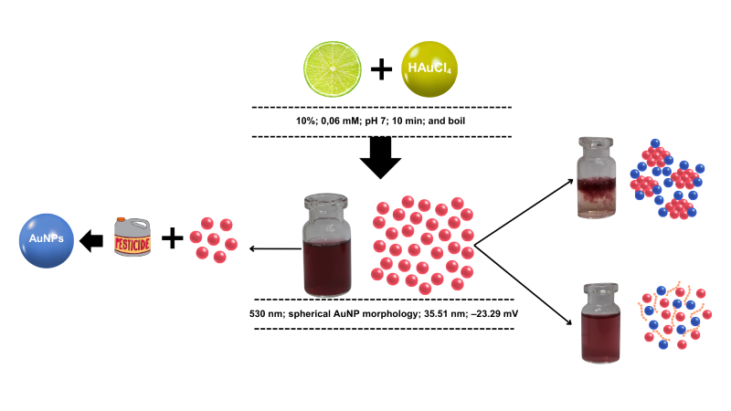 <span>Citrus aurantifolia&ndash;mediated AuNPs: Microplastic detection achieved, pesticide sensing explored</span>