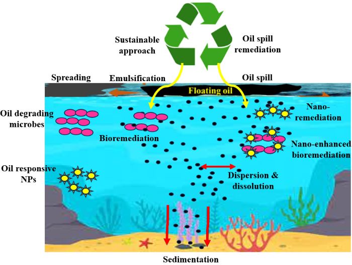 <span>Viable and sustainable strategies to manage the oil spills in the marine ecosystem: A review</span>