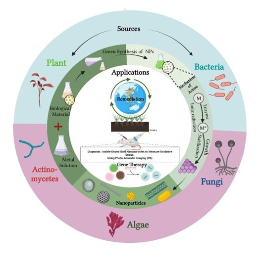 Nanobioremediation: harnessing chemically modified and biogenic nanoparticles for environmental cleanup 